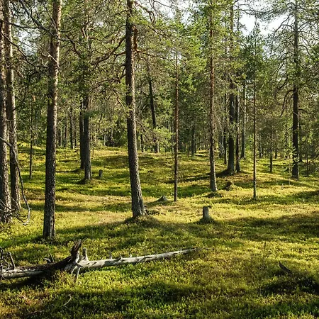 Luxurious Rakka Suites, Yllaes * Äkäslompolo