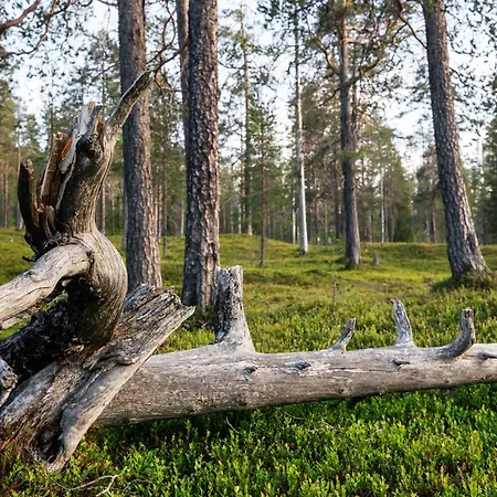 Huoneisto Luxurious Rakka Suites, Ylläs