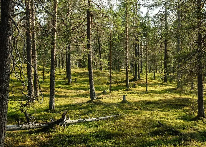 Luxurious Rakka Suites, Yllaes * Äkäslompolo