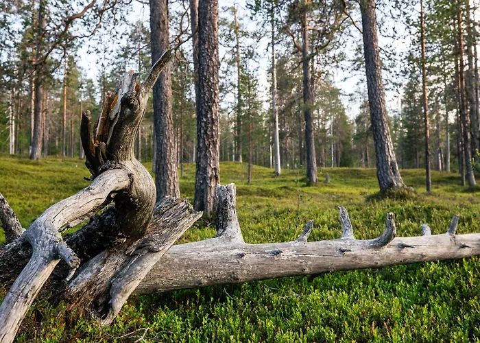 شقة Luxurious Rakka Suites, Yllaes